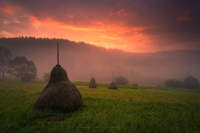 fog, dawn, ukraine, mountains, туман, украина, утро, горы Morning silencephoto preview
