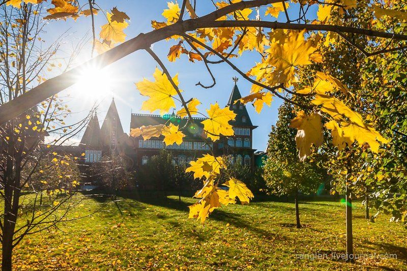 коломенское, москва, осень, золотая, небо, пейзаж Дворец и осеньphoto preview