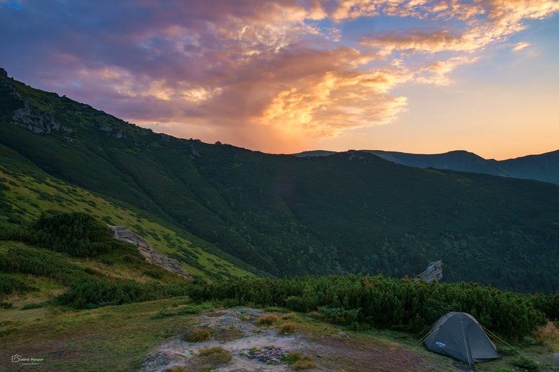 рассвет., , туман., , карпаты., , горы. *** фото превью