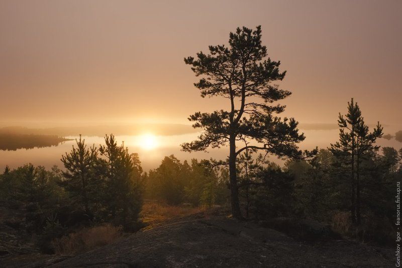 ладога,пейзаж,природа,утро,рассвет,гора,берег,россия,озеро,туман Обратное солнцеphoto preview