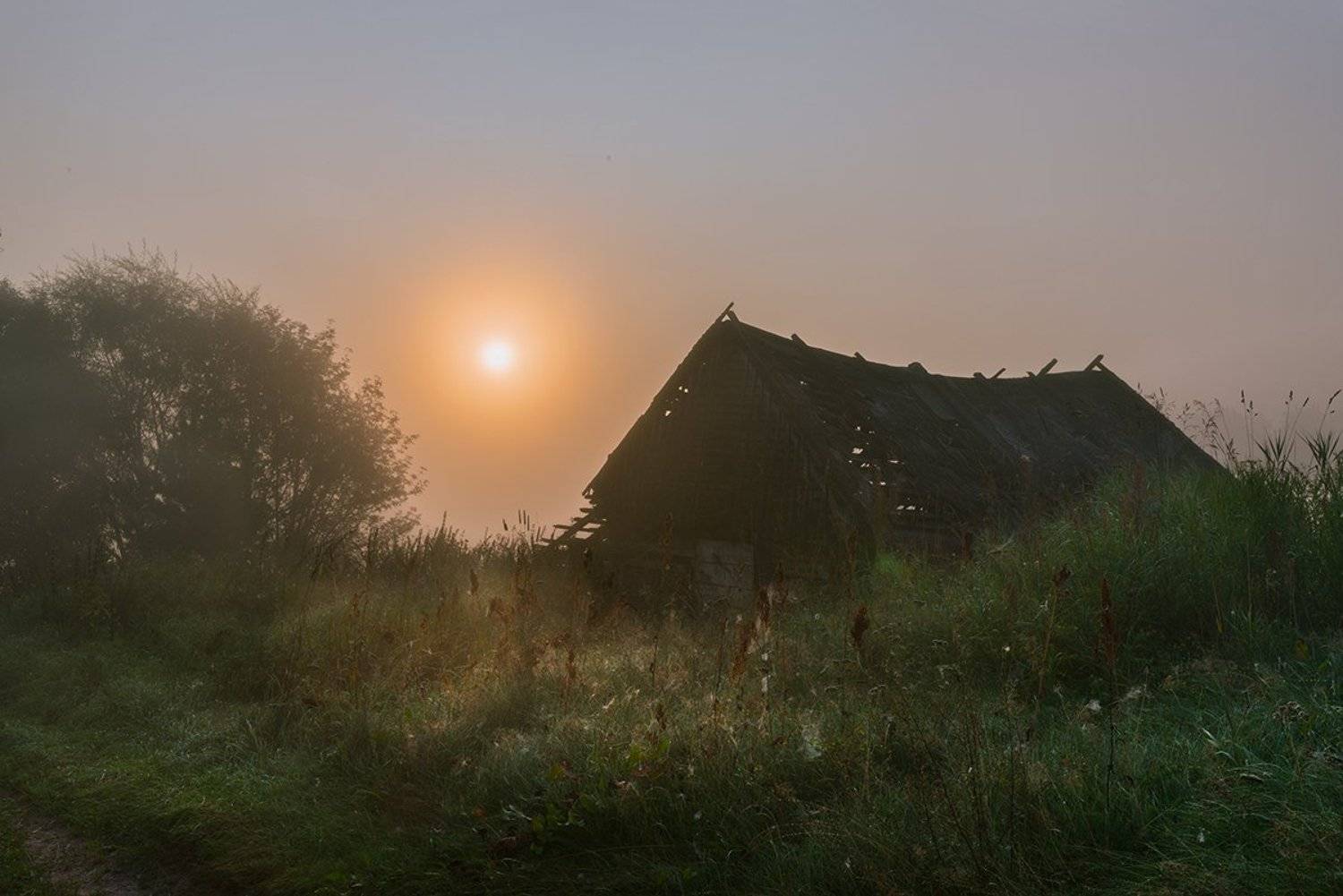 россия, природа, река, угра, смоленская область, август, 2017, рассвет, туман, nikon, пейзаж, сарай, утро, солнце, рассвет, Денис Щербак