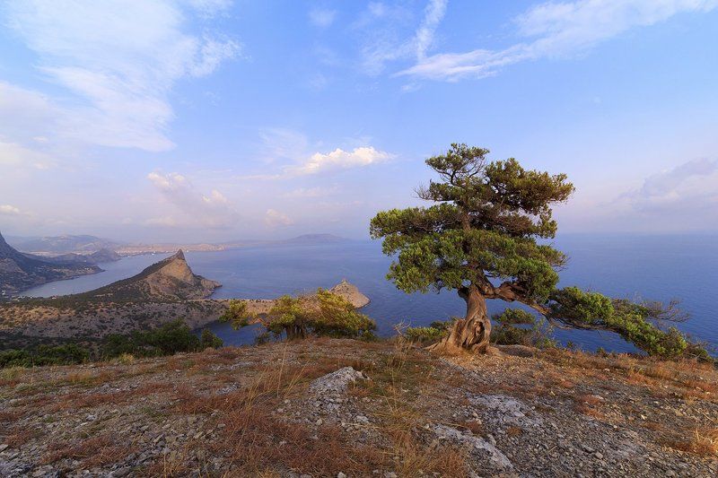 Новый Свет.photo preview