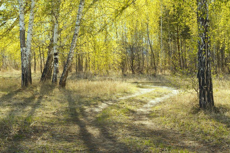 Майский светphoto preview