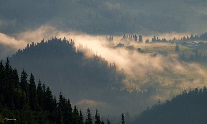 рассвет., , туман., , карпаты., , горы. *** фото превью