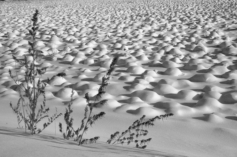 ***************photo preview