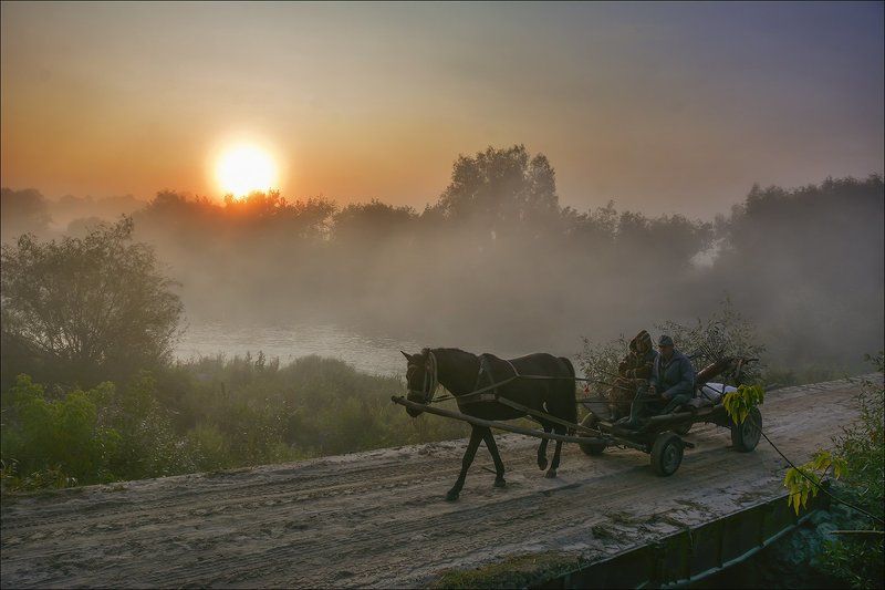 река случ, мост, рассвет, телега, С утра пораньшеphoto preview