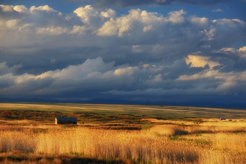 казахстан, бухтарма Сельские просторыphoto preview