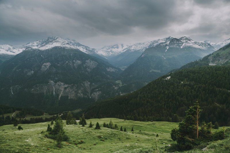 Ускользало альпийское летоphoto preview