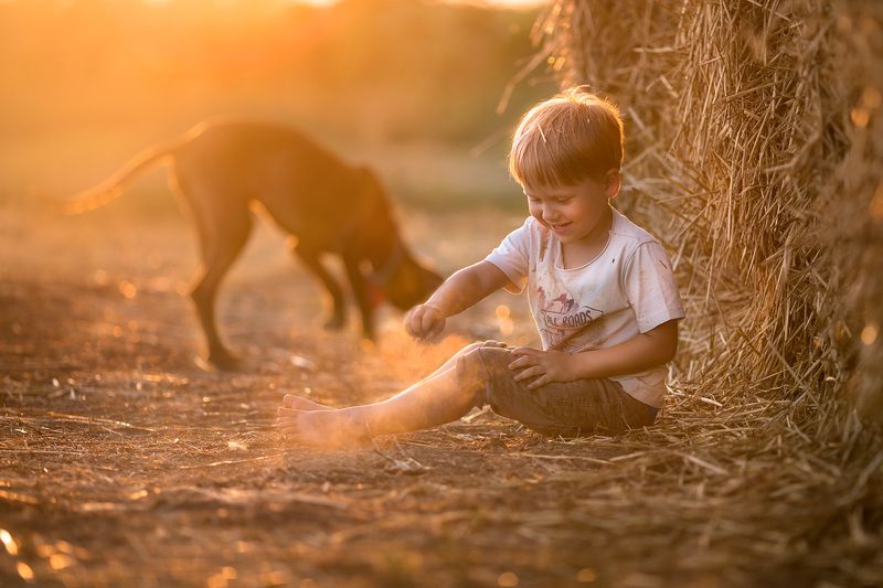 закат Провожая лето... фото превью