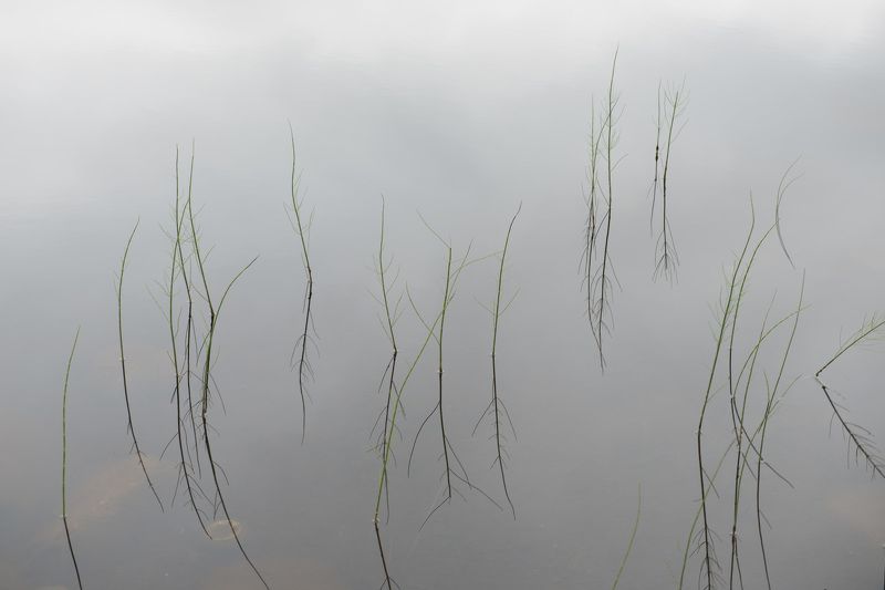 териберка ***photo preview