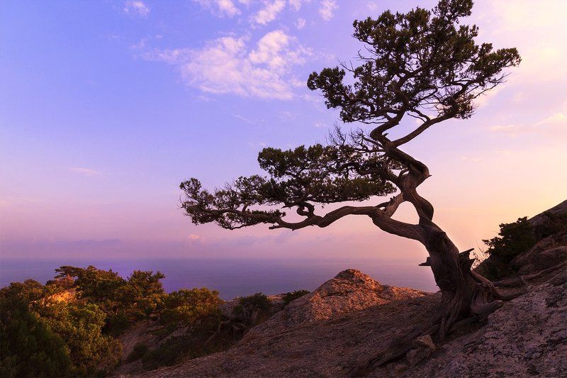 Вслед за солнцемphoto preview