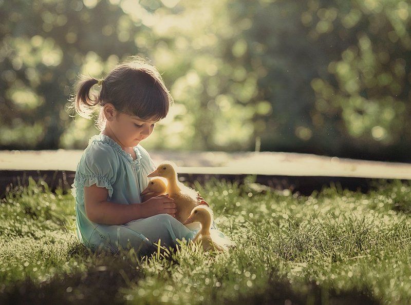 девочка утята лето утро photo preview