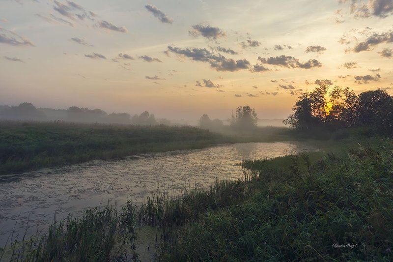 рассвет, река, туман, паутина Рассвет на реке Тьмаphoto preview