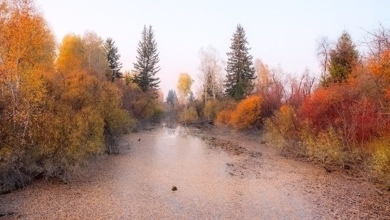 Протокаphoto preview