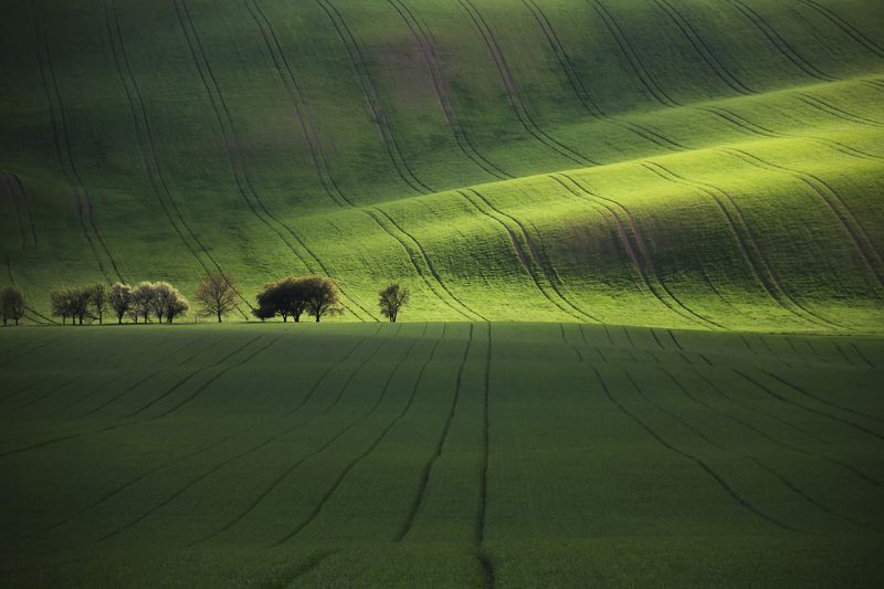 свет весна чехия Моравияphoto preview