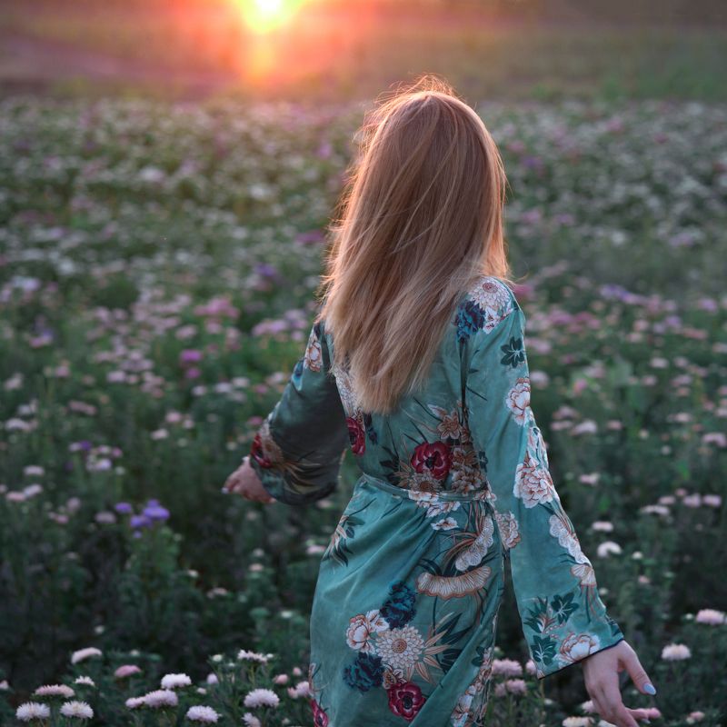 девушка, цветы, поле, астры, закат, солнце, контровый свет На закатеphoto preview