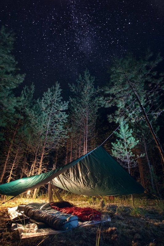 ночь, август, звезды, тент, фото, пейзаж, лучшее, night, august, stars, awning, photo, landscape, best, Ночи августа...photo preview