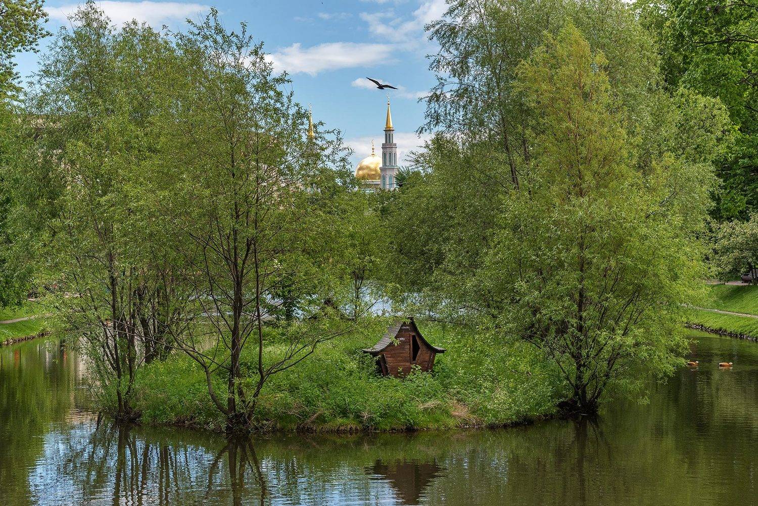 Москва, Moscow, парк, пруд, остров, домик, мечеть, птица, деревья, Екатерининский парк, Борис Недосеков