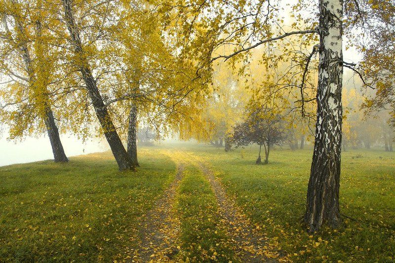 Любимая пораphoto preview