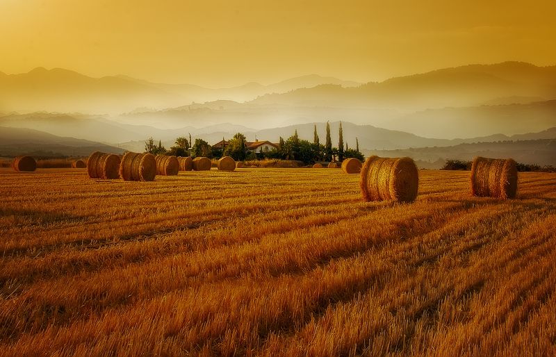 field sky landscape sunrise sun light summer beautiful cyprus countryside filed country rural farm corn field golden hour polis cornfield dobrogea coutryside soest Harvest Timephoto preview