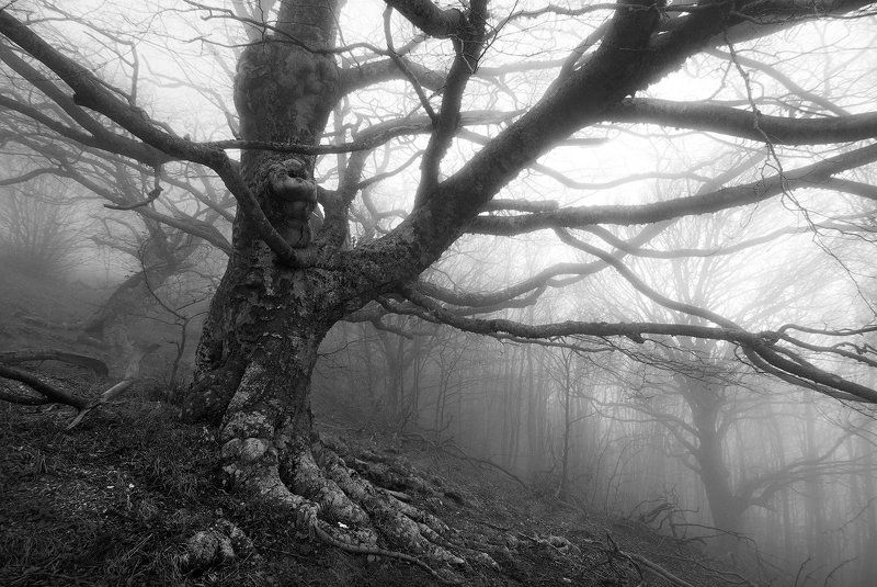 Крым в ч/бphoto preview