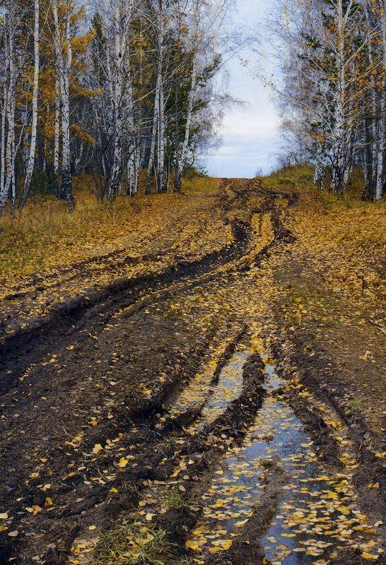 Хмурый сентябрьphoto preview