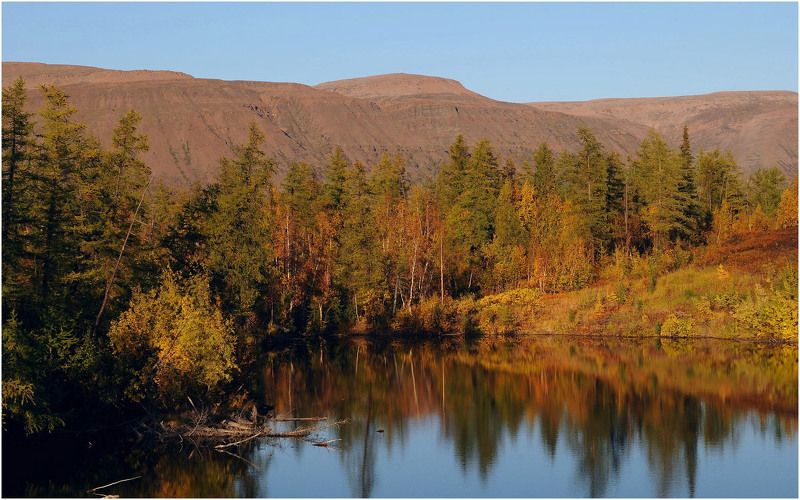 Таймыр,сентябрь,осень Осенние зарисовкиphoto preview