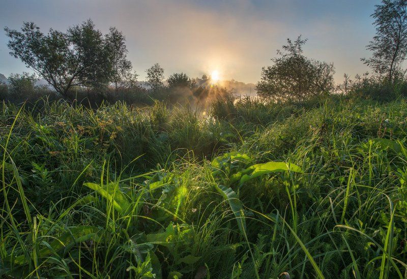 Солнце сентября....photo preview