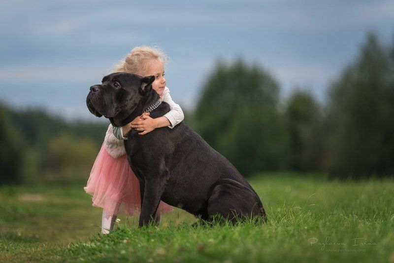 Лучшие друзьяphoto preview