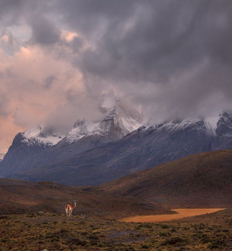 sv-phototravel.com, патагония Прощальный взгляд.photo preview