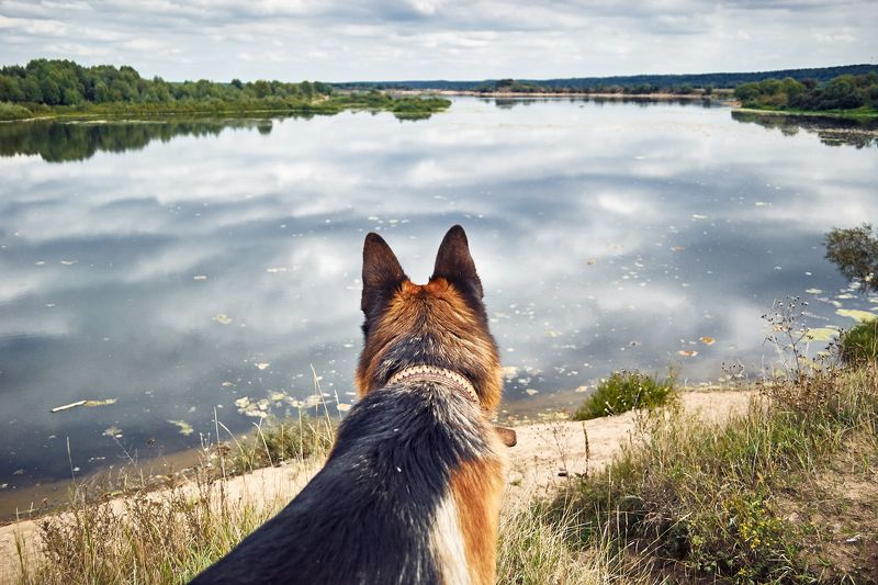 Somewhere not herephoto preview