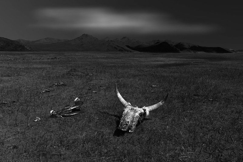 生存法则photo preview