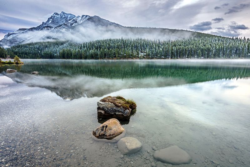 Morning ...photo preview