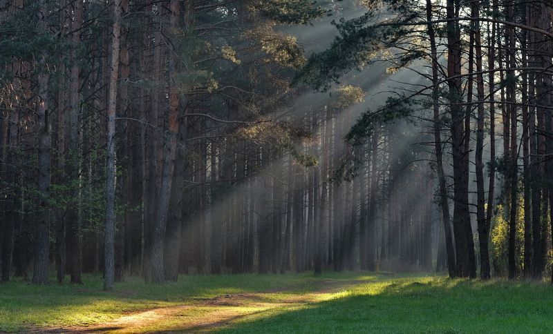 туман,дымка,солнце,минск утро под Минскомphoto preview