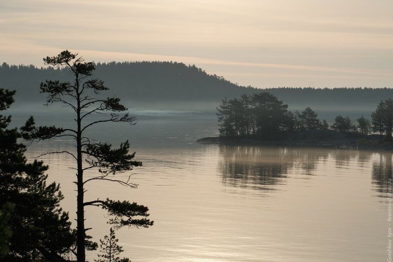 ладога,пейзаж,природа,утро,рассвет,гора,берег,россия,озеро,туман Утро на Ладогеphoto preview