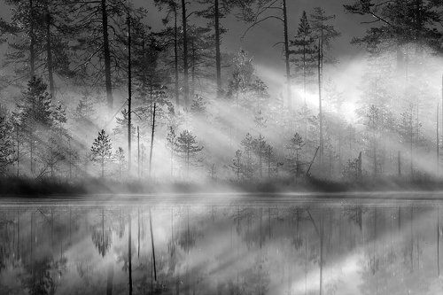 Пронизан солнцем