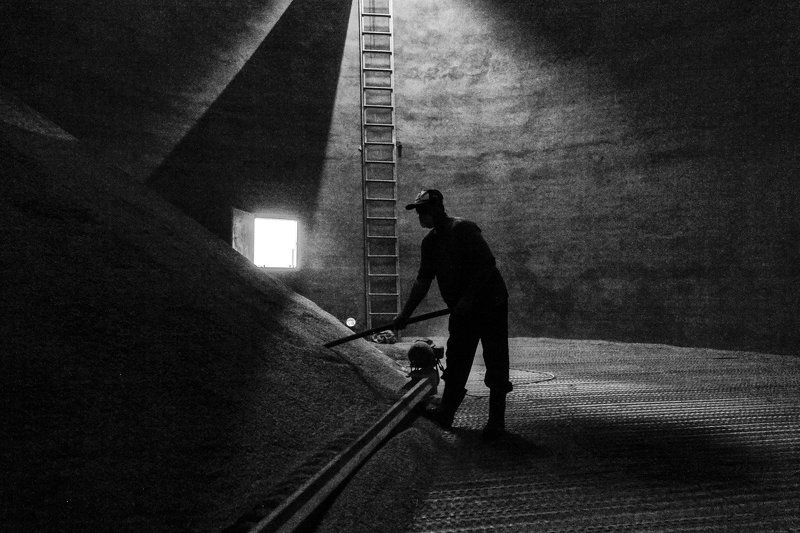 Some Storiesphoto preview