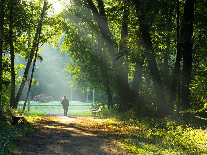 город, парк, Москва, Кузьминки, Выхино, Двенадцати, Лучей, утро, свет, тропинка Россия. Москва. Парк \