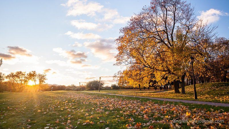 коломенское, москва, осень, золотая, небо, пейзаж Перед закатомphoto preview