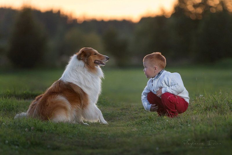 Друзьяphoto preview