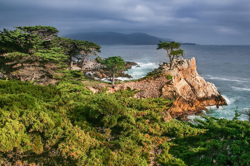 сосн, океан, волны, дождь, тучи, калифорния, сша, 17 mile drive, *Светлая*photo preview