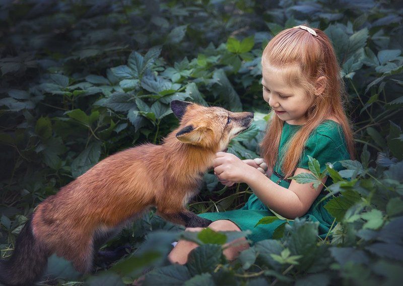 girl, fox, forest, summer, red-haired, friendship Первая встречаphoto preview