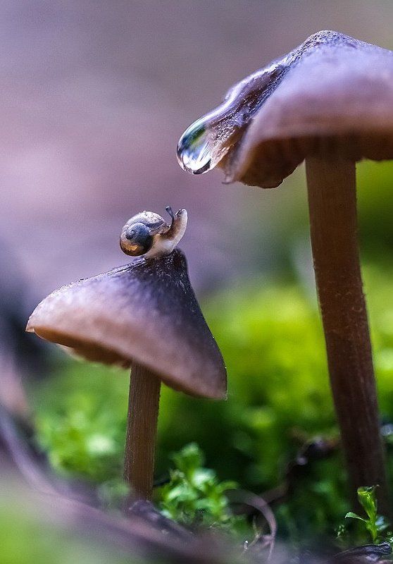 Водопадphoto preview