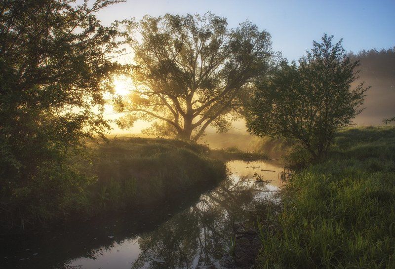 Майское солнечное утро...photo preview