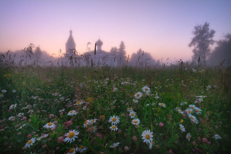 пейзаж, пейзажная съемка, вечер, туман, храм, июль, июльское утро, свежесть, молодая зелень, никон, landscape, may, fog, morning, church Летний вечер...photo preview
