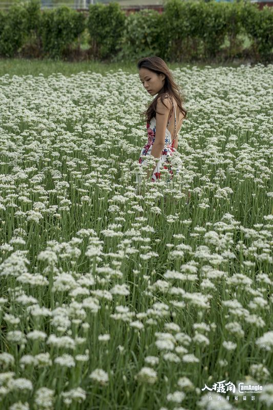 sexygirl, flowers, white,  韭菜花田photo preview