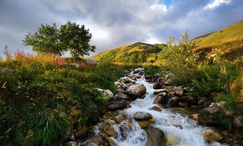 кавказ, caucasus, georgia Линии прохладыphoto preview