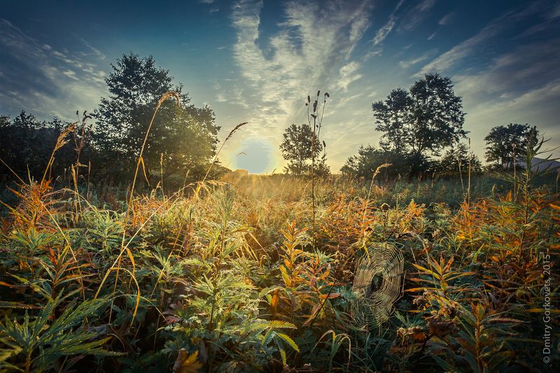 #kamchatka #landscapes #photobydmitrygorkovets #sunrise  Рассвет на Жировой. Тихий Океан. photo preview