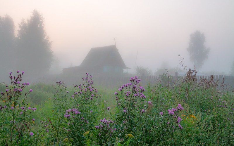 В туманеphoto preview