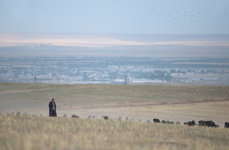узбекистан, путешествие, пустыня, пастух, чабан, travel, uzbekistan, street, desert, ussr, город, city Параллельные миры photo preview